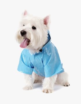 Freeze Dried Nuggets